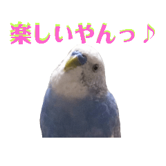 [LINEスタンプ] ことりのひとりごと