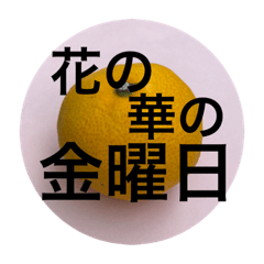 [LINEスタンプ] 死語スタンプ〜みかんにのせて〜
