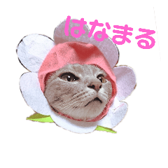 [LINEスタンプ] ルナロペスすたんぷ