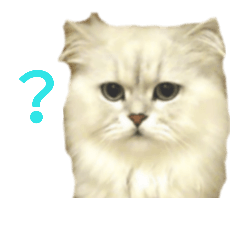 [LINEスタンプ] フサネコ4