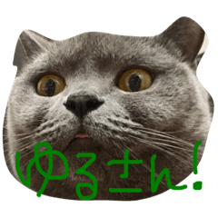 [LINEスタンプ] おがしゃん3