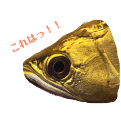 [LINEスタンプ] あろわな 2