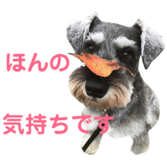 [LINEスタンプ] Jackの日常スタンプ No.2