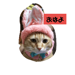 [LINEスタンプ] のんちゃん適当スタンプ2