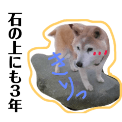 [LINEスタンプ] ぱえ♥そら
