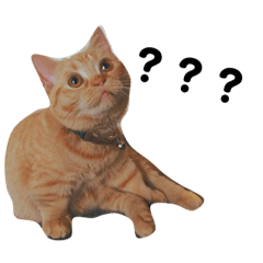 [LINEスタンプ] 高橋家のきなこ