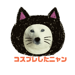 [LINEスタンプ] タロー君のハロウィンコスプレスタンプ