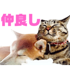 [LINEスタンプ] 仲良し大和＆大吉