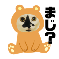 [LINEスタンプ] 梅ちゃんのスタンプ