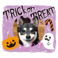 [LINEスタンプ] 気まぐれきのこと仲間達でハロウィン