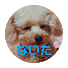 [LINEスタンプ] めりたんすたんぷ♥♥