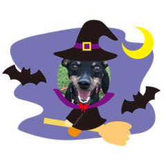 [LINEスタンプ] ミニピン ハロウィン おやつぷりーず！