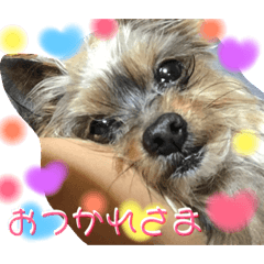 [LINEスタンプ] れあたんスタンプ