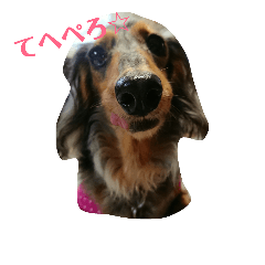 [LINEスタンプ] ダックスその他の愉快な仲間たちの日常9
