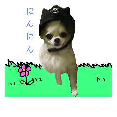 [LINEスタンプ] わんにゃんづくし