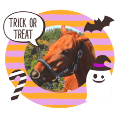 [LINEスタンプ] ハロウィンと馬達