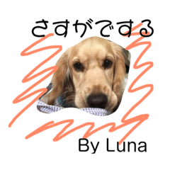 [LINEスタンプ] Lunaっちだよ〜。3