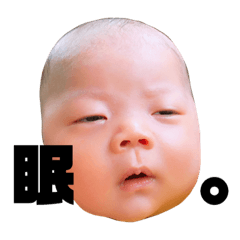 [LINEスタンプ] あおの日常スタンプ
