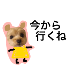 [LINEスタンプ] ぷう子