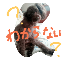 [LINEスタンプ] 二匹の犬だよ