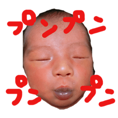 [LINEスタンプ] くんちゃーん