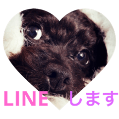 [LINEスタンプ] 愛しのベイビーずっと大好き