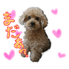 [LINEスタンプ] りくもこワンワン