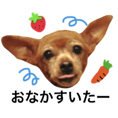 [LINEスタンプ] チップちゃんスタンプ