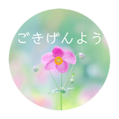 [LINEスタンプ] お嬢様言葉