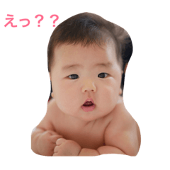 [LINEスタンプ] そうそうそうそうそう