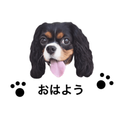 [LINEスタンプ] お も ち