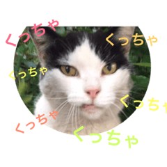 [LINEスタンプ] みゃーさんpart1