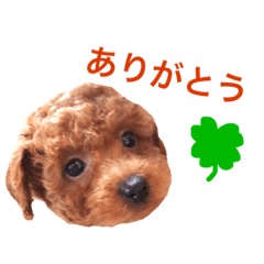 [LINEスタンプ] アリス家のかわいこちゃん達