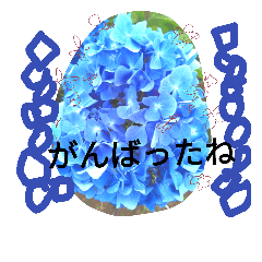 [LINEスタンプ] 野の花シリーズ 夏の涼しげ 基本の挨拶