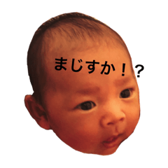 [LINEスタンプ] 樹とネコ