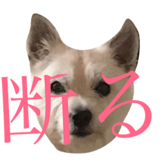 [LINEスタンプ] まっくすたんぷ 挨拶 返事