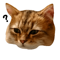 [LINEスタンプ] 飼いねこ備忘録