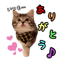 [LINEスタンプ] モコラブマルレイ Vol.2