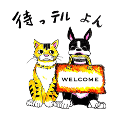 [LINEスタンプ] テル・tell・スタンプ