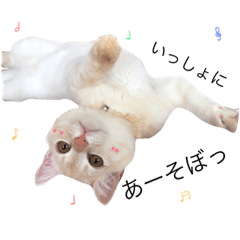 [LINEスタンプ] みるのはんこ