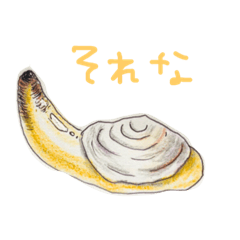 [LINEスタンプ] ミル貝の気持ち