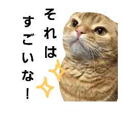 [LINEスタンプ] そっちゃんのスタンプ