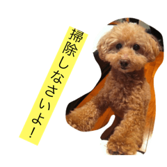 [LINEスタンプ] 世話がかかる息子へメッセージ