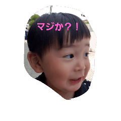 [LINEスタンプ] ウチの子、とわくん