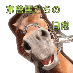 [LINEスタンプ] 木曽馬たちの日常