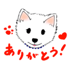 [LINEスタンプ] ぼくはポッキー！