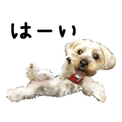 [LINEスタンプ] はに丸 スタンプ