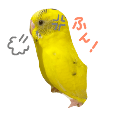 [LINEスタンプ] インコのたまちゃん