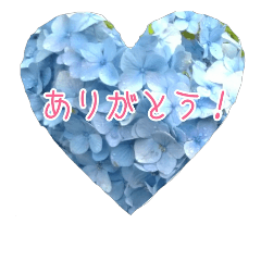 [LINEスタンプ] 紫陽花メッセージスタンプ