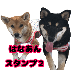 [LINEスタンプ] 柴犬はなあん2